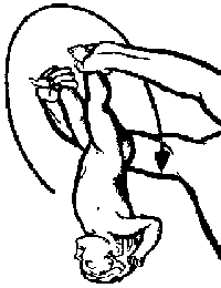 рис.28 (упражнения динамической гимнастики для детей)