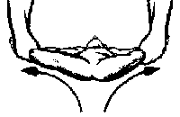 рис.39 (упражнения динамической гимнастики для детей)