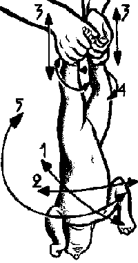 рис.49 (упражнения динамической гимнастики для детей)