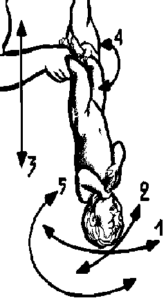 рис.50(упражнения динамической гимнастики для детей)