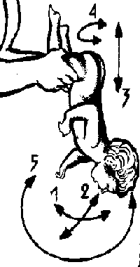рис.51 (упражнения динамической гимнастики для детей)
