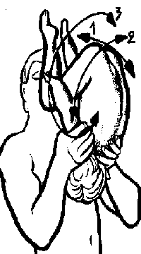 рис.53 (упражнения динамической гимнастики для детей)